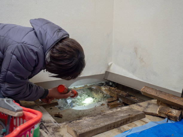 Best Mold Remediation for Rental Properties  in Richfield, MN