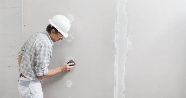 Best Black Mold Removal  in Richfield, MN