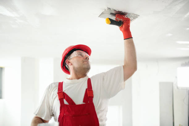 Best Air Quality Testing for Mold Spores  in Richfield, MN