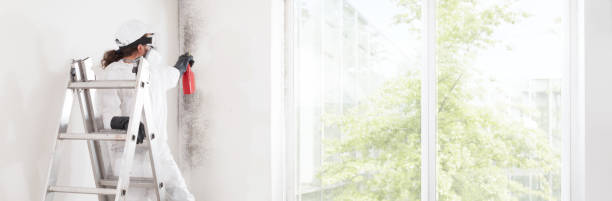 Best Emergency Mold Remediation  in Richfield, MN
